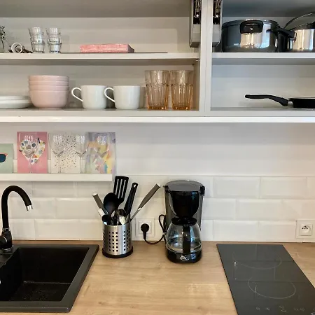 Duo 1 Debniki Apartment Krakow