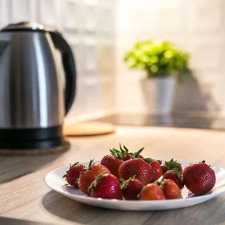 Vistula Premium Apartament Kraków