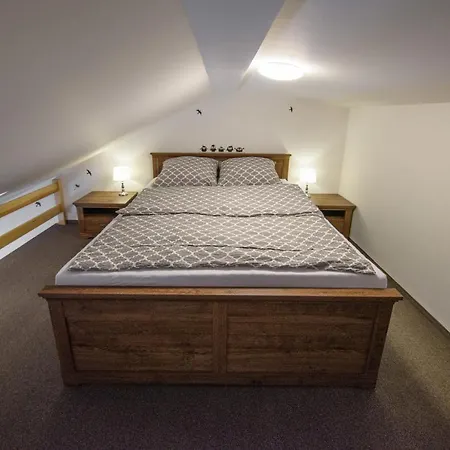 Apartament Jastrzebie Gniazdo *