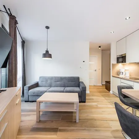 Apartament Deluxe Rakowicka 15 Wawelofts *
