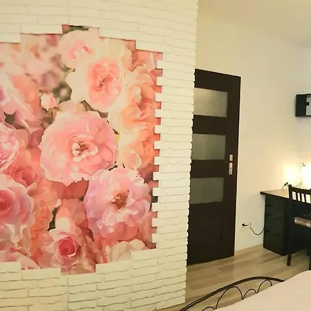 Luxury Kings 50m2 2 Pok. Downtown Dobrego Pasterza Piekny Apartment