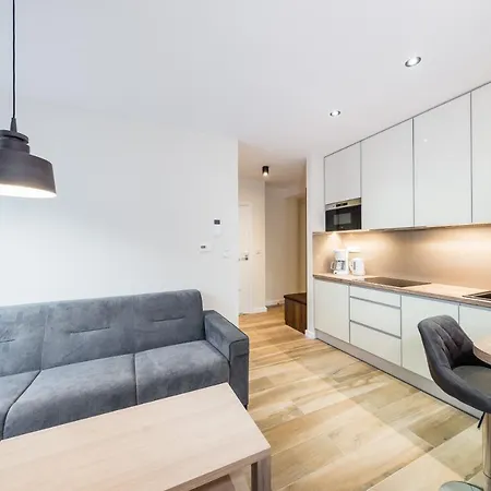 Apartament Deluxe Rakowicka 15 Wawelofts