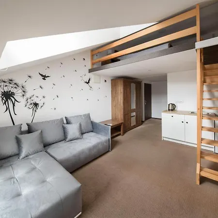 Apartament Jastrzebie Gniazdo Apartment *