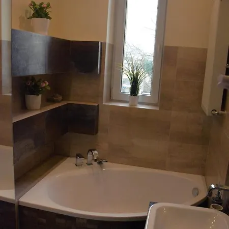 Apartament Debnicki
