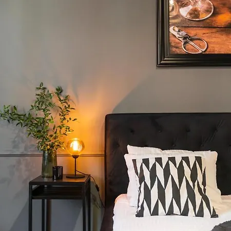 Apartment Homely - Loftaffair Krakow