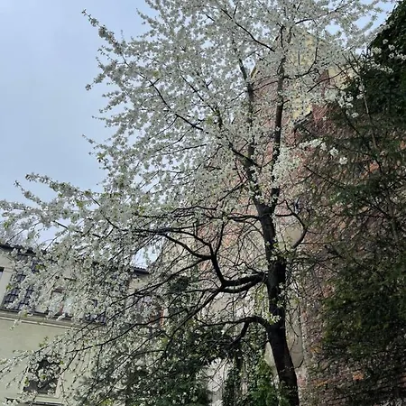 Secret Garden - Wonderful City Centre - Ground Floor - Quiet Location * Cracovia