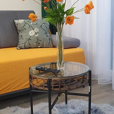 Apartment Diamond Rakowicka *