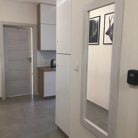 Apartament Arena No. 91 ホームステイ クラクフ