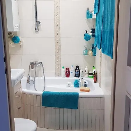 Apartament Przytulne mieszkanie w Krakowie Kraków