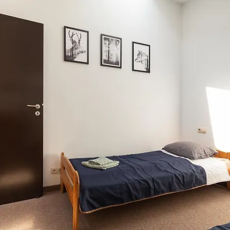 Friendly Family Loft In The Center Apartment *