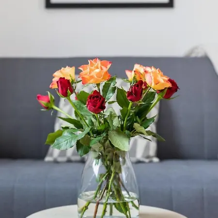 Modern Stachowicza Cracow By Renters Apartment Krakow