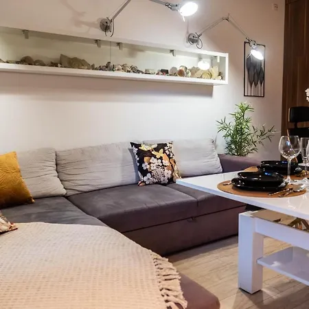 Smart Executive Apartment *