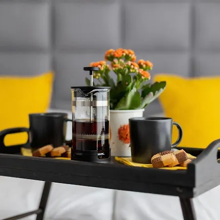 Studio Miodowa Kazimierz By Renters Krakow