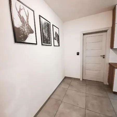 Apartament Arena No. 91 ホームステイ クラクフ