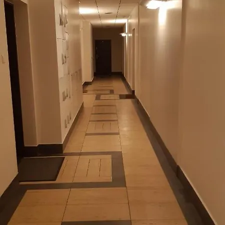 Apartament Wielopole 17 *