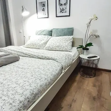 Apartment Lion - Laba Krakow