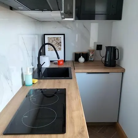 Uroczy W Centrum Krakowa Apartament Kraków
