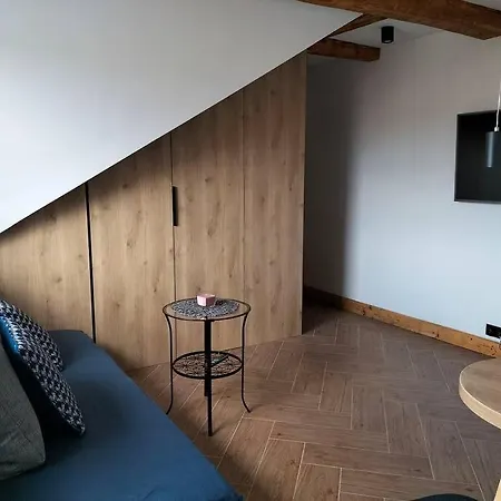 Apartament Uroczy W Centrum Krakowa