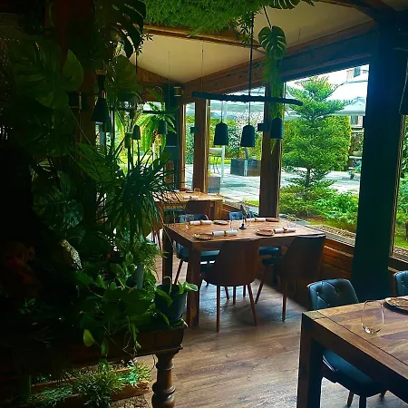 Art & Garden Krakov