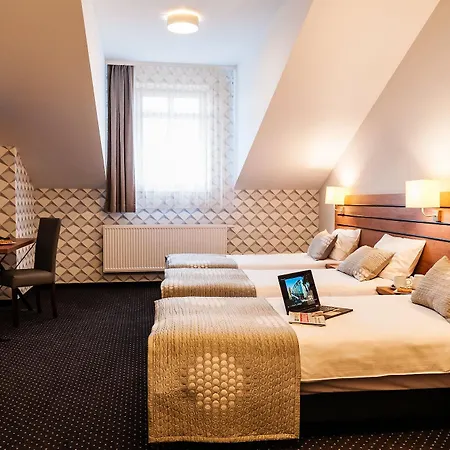 Wilga Krakow