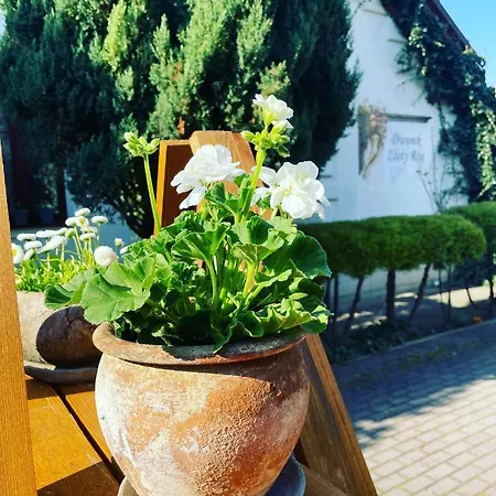Hotel Dworek Złoty Róg I Restauracja