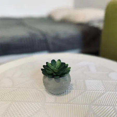 Luxodonta Apartment *