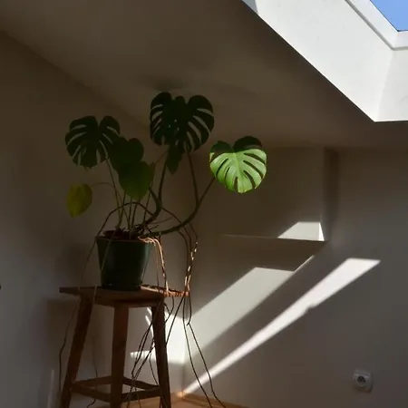 Poddasze Na Starym Podgorzu Appartement Cracovie
