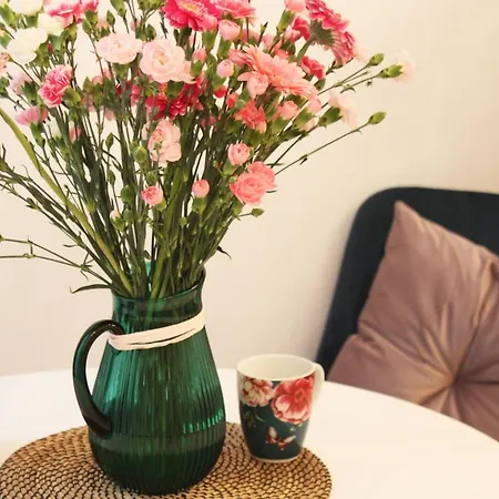 Cosy & Perfect Located Krakow