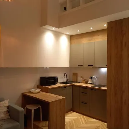 Apartment Studio Delux Krakow