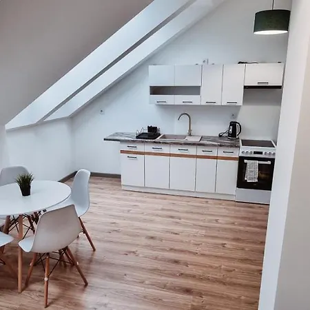 Spacious Loft 10 Krakow