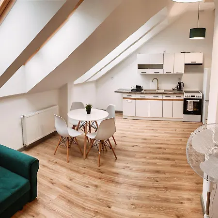 Apartment Spacious Loft 10 *