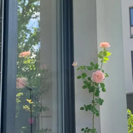 Garden Self Check-in - Bezkluczowy Dostep W 10 Minut O Kazdej Porze Apartment *