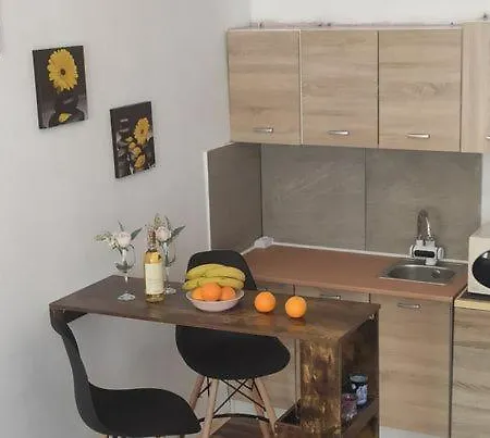 For Guests Apartment
