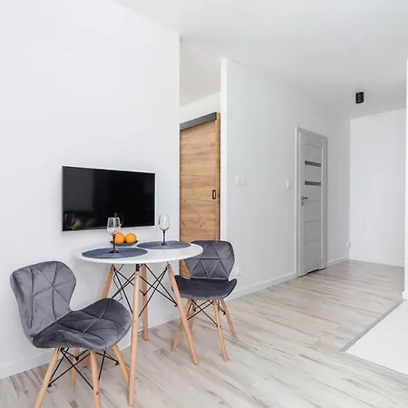 Salsa Cracow By Renters Apartment