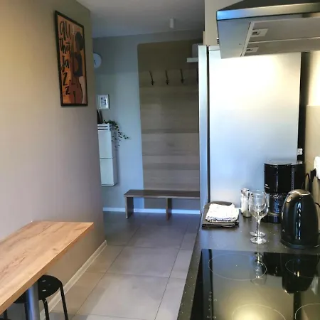 Apartament Wygoda Old Town Deluxe Wawelofts Apartment Krakow