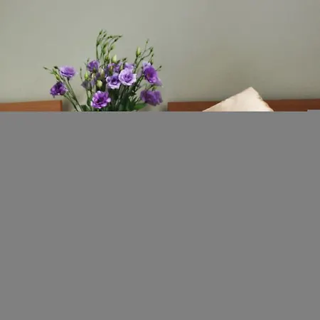 Maly Aparthotel Cracovia