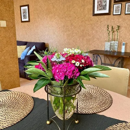 Dekoratoria Apartment *