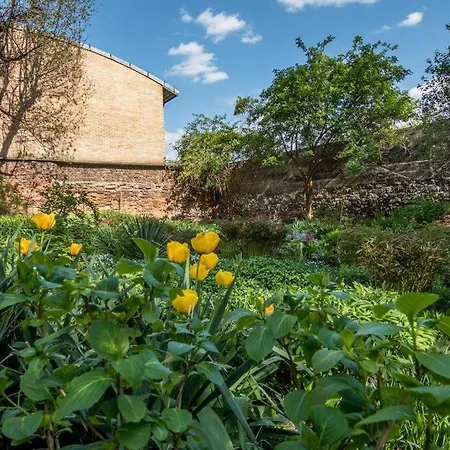 Διαμέρισμα Studio With Garden - Wawel Neighborhood *
