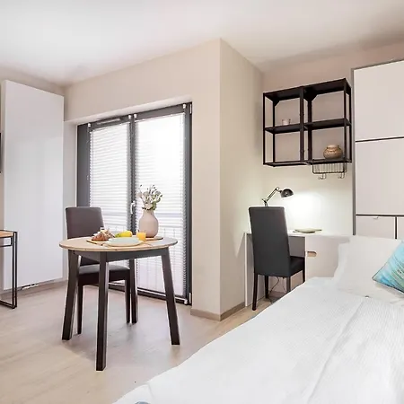Apartament Iron