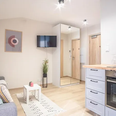 Iron Apartament