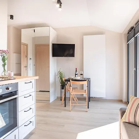 Iron Apartament *