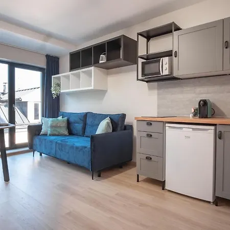 Apartament Iron