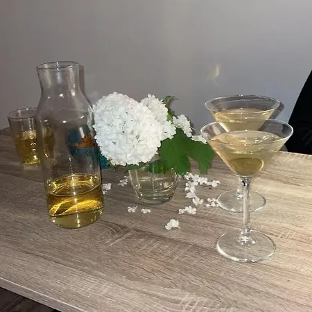 Apartment Przytulny Na Podgorzu Krakow