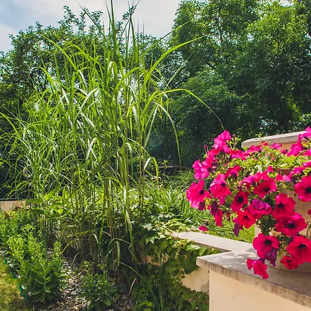 4seasons﻿ Cracow Lejlighedshotel Kraków
