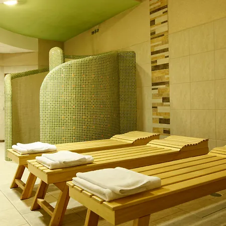 Otel Apis