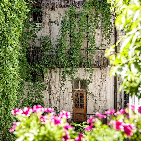Apart Otel Platinia - Komfortowe Stare