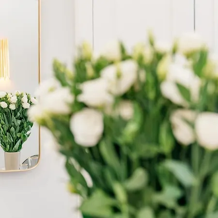 Apartment Crystal - Loftaffair Collection