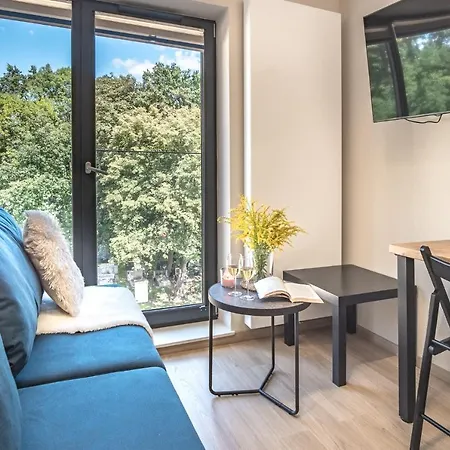 Iron Apartament *