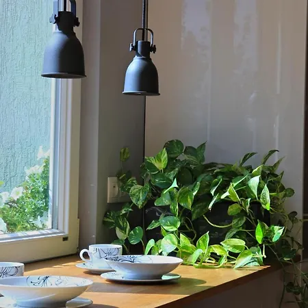 Apartment Shoq With Park View *