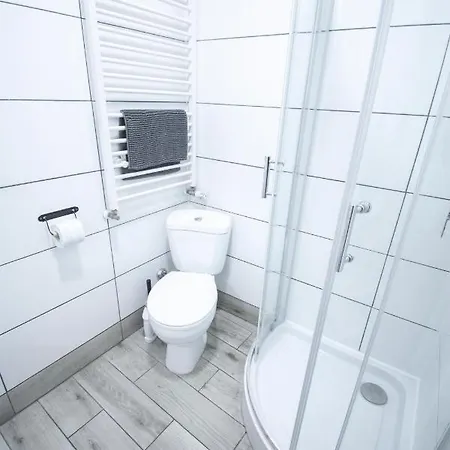 Lion - Laba Krakow
